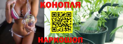 дживик Донской