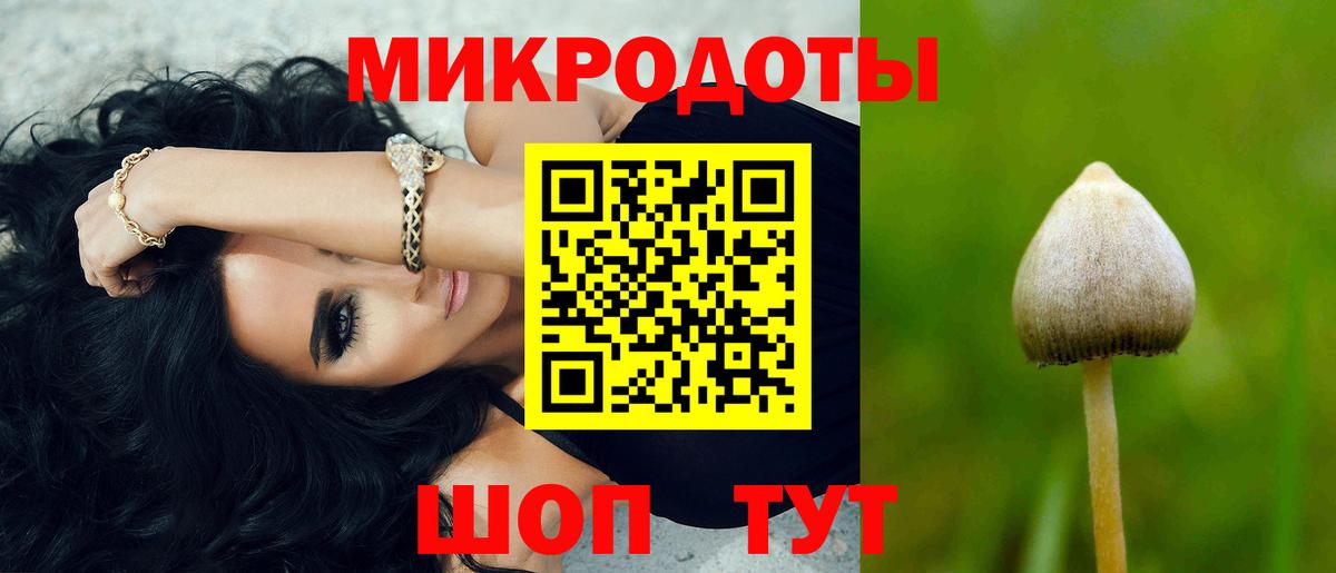 Миасс  Галлюциногенные грибы Psilocybine cubensis  Вход с VPN 